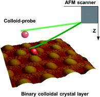 Graphical abstract: Colloid-probe AFM studies of the surface functionality and adsorbed proteins on binary colloidal crystal layers