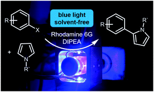 Graphical abstract: Solvent-free coupling of aryl halides with pyrroles applying visible-light photocatalysis