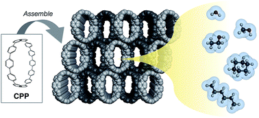 Graphical abstract: Cycloparaphenylene as a molecular porous carbon solid with uniform pores exhibiting adsorption-induced softness