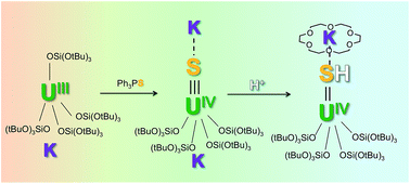 Graphical abstract: Synthesis and reactivity of a terminal uranium(iv) sulfide supported by siloxide ligands