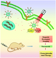 Graphical abstract: Polydopamine coated manganese oxide nanoparticles with ultrahigh relaxivity as nanotheranostic agents for magnetic resonance imaging guided synergetic chemo-/photothermal therapy