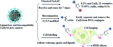Graphical abstract: Recyclable Cu(i)/melanin dots for cycloaddition, bioconjugation and cell labelling