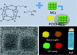 Graphical abstract: Water resistant CsPbX3 nanocrystals coated with polyhedral oligomeric silsesquioxane and their use as solid state luminophores in all-perovskite white light-emitting devices