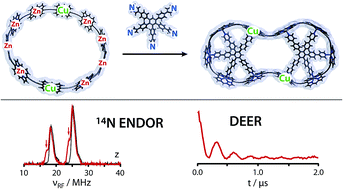 Graphical abstract: Exploring template-bound dinuclear copper porphyrin nanorings by EPR spectroscopy