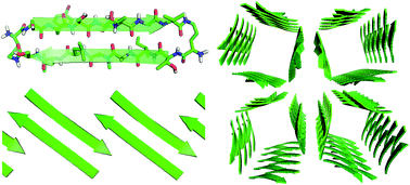Graphical abstract: Square channels formed by a peptide derived from transthyretin