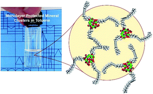 Graphical abstract: A general strategy for colloidal stable ultrasmall amorphous mineral clusters in organic solvents