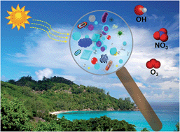 Graphical abstract: Atmospheric chemistry of bioaerosols: heterogeneous and multiphase reactions with atmospheric oxidants and other trace gases