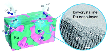 Graphical abstract: A low-crystalline ruthenium nano-layer supported on praseodymium oxide as an active catalyst for ammonia synthesis