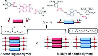 Graphical abstract: Steric ploy for alternating donor–acceptor co-assembly and cooperative supramolecular polymerization