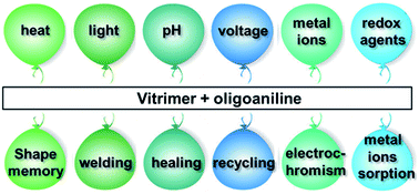 Graphical abstract: Multi-stimuli responsive and multi-functional oligoaniline-modified vitrimers