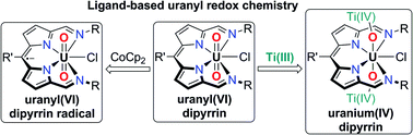 Graphical abstract: Inner-sphere vs. outer-sphere reduction of uranyl supported by a redox-active, donor-expanded dipyrrin