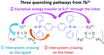 Graphical abstract: Organic linkers control the thermosensitivity of the emission intensities from Tb(iii) and Eu(iii) in a chameleon polymer