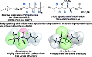 Graphical abstract: Synthesis of malhamensilipin A exploiting iterative epoxidation/chlorination: experimental and computational analysis of epoxide-derived chloronium ions