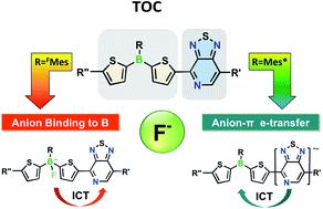 Graphical abstract: Pyridalthiadiazole acceptor-functionalized triarylboranes with multi-responsive optoelectronic characteristics
