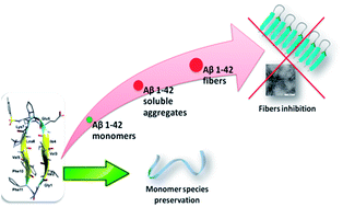 Graphical abstract: β-Hairpin mimics containing a piperidine–pyrrolidine scaffold modulate the β-amyloid aggregation process preserving the monomer species