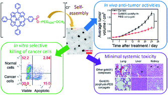 Graphical abstract: A multi-functional PEGylated gold(iii) compound: potent anti-cancer properties and self-assembly into nanostructures for drug co-delivery