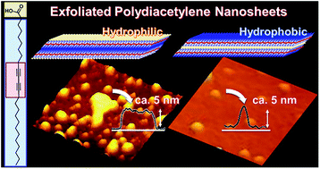 Graphical abstract: Two exfoliation approaches for organic layered compounds: hydrophilic and hydrophobic polydiacetylene nanosheets