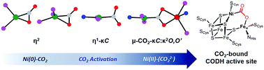 Graphical abstract: Carbon dioxide binding at a Ni/Fe center: synthesis and characterization of Ni(η1-CO2-κC) and Ni-μ-CO2-κC:κ2O,O′-Fe