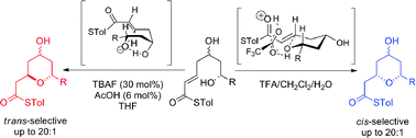 Graphical abstract: The stereodivergent formation of 2,6-cis and 2,6-trans-tetrahydropyrans: experimental and computational investigation of the mechanism of a thioester oxy-Michael cyclization