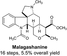 minocycline side effects long term