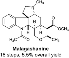 Graphical abstract: Total synthesis of malagashanine: a chloroquine potentiating indole alkaloid with unusual stereochemistry