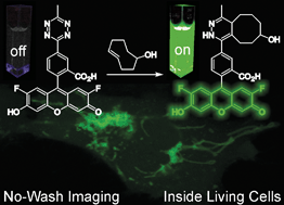 Graphical abstract: Green- to far-red-emitting fluorogenic tetrazine probes – synthetic access and no-wash protein imaging inside living cells