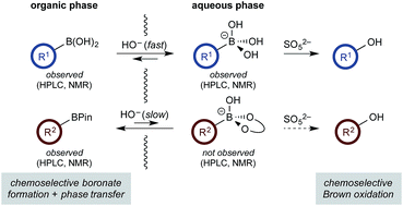 Graphical abstract: Chemoselective oxidation of aryl organoboron systems enabled by boronic acid-selective phase transfer