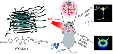 Graphical abstract: Highly specific noninvasive photoacoustic and positron emission tomography of brain plaque with functionalized croconium dye labeled by a radiotracer