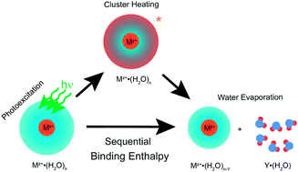 Graphical abstract: Sequential water molecule binding enthalpies for aqueous nanodrops containing a mono-, di- or trivalent ion and between 20 and 500 water molecules