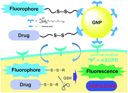 Graphical abstract: Stimuli-responsive multifunctional glyconanoparticle platforms for targeted drug delivery and cancer cell imaging