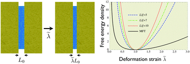 Graphical abstract: Pseudo-Casimir stresses and elasticity of a confined elastomer film