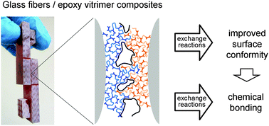 Graphical abstract: Multiple welding of long fiber epoxy vitrimer composites