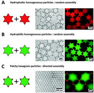 Graphical abstract: Capillarity-induced directed self-assembly of patchy hexagram particles at the air–water interface