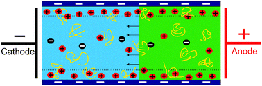 Graphical abstract: Experimental and theoretical investigations of non-Newtonian electro-osmotic driven flow in rectangular microchannels