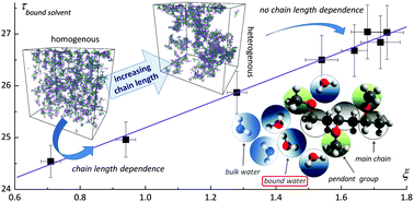 Graphical abstract: Diffusive properties of solvent molecules in the neighborhood of a polymer chain as seen by Monte-Carlo simulations