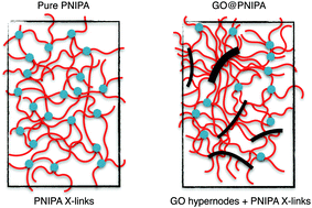Graphical abstract: Static and dynamic behaviour of responsive graphene oxide–poly(N-isopropyl acrylamide) composite gels