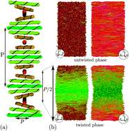 Graphical abstract: Simulating the pitch sensitivity of twisted nematics of patchy rods