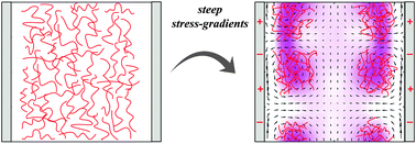 Graphical abstract: The effect of wall depletion and hydrodynamic interactions on stress-gradient-induced polymer migration
