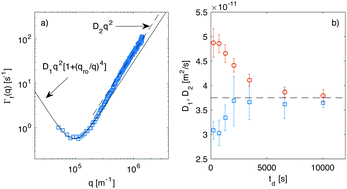 Graphical abstract: Structure and dynamics of concentration fluctuations in a non-equilibrium dense colloidal suspension