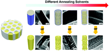 Graphical abstract: Morphology control of three-dimensional nanostructures in porous templates using lamella-forming block copolymers and solvent vapors