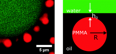 Graphical abstract: Repulsive van der Waals forces enable Pickering emulsions with non-touching colloids