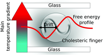 Graphical abstract: Generalized drift velocity of a cholesteric texture in a temperature gradient
