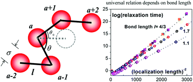 Graphical abstract: The unique role of bond length in the glassy dynamics of colloidal polymers