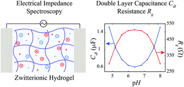 Graphical abstract: A mathematical model for electrical impedance spectroscopy of zwitterionic hydrogels