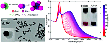 Graphical abstract: Solution self-assembly of plasmonic Janus nanoparticles