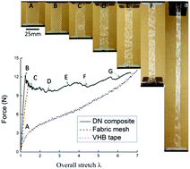 Graphical abstract: A highly stretchable double-network composite
