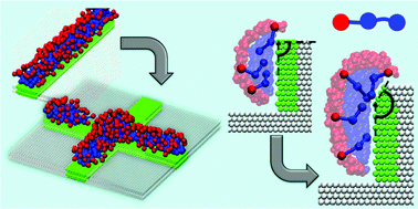 Graphical abstract: Surfactants adsorption on crossing stripes and steps