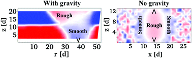 Graphical abstract: Shear-driven segregation of dry granular materials with different friction coefficients