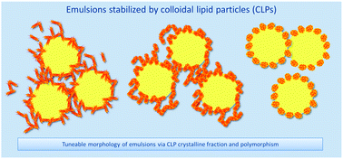 Graphical abstract: Tailored microstructure of colloidal lipid particles for Pickering emulsions with tunable properties