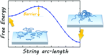 Graphical abstract: Minimum free-energy paths for the self-organization of polymer brushes